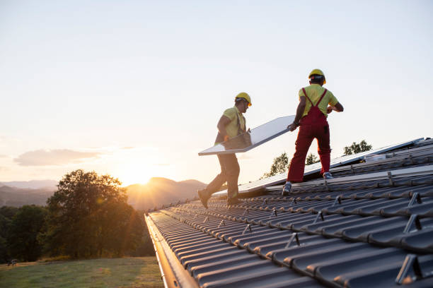 Best Roof Moss and Algae Removal  in Hollidaysburg, PA