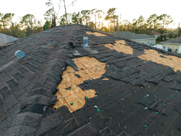 Best Roof Ventilation Installation  in Hollidaysburg, PA