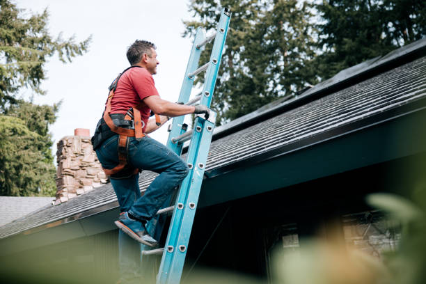 Best Roof Maintenance and Cleaning  in Hollidaysburg, PA