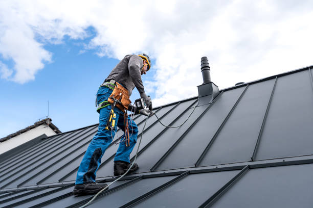 Best Skylight Installation and Repair  in Hollidaysburg, PA